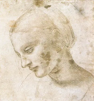 Testa di donna inclinata verso il basso Leonardo da Vinci